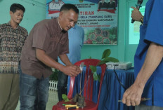 Petani Empat Lawang Didorong Budidaya Tanaman Sela, Strategi Cerdas Jaga Stabilitas Ekonomi