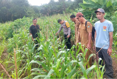Lahan Tidur Jadi Sumber Penghasilan Warga Desa