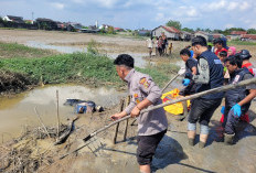 Tewas Tersengat Alat Sendiri, Nelayan Muda Ditemukan Terkelungkup di Sawah Saat ‘Ngontek Ikan’