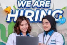 Loker BUMN: PT PNM Buka Rekrutmen untuk Lulusan SMA SMK hingga S1, Simak Posisi dan Syaratnya