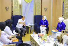 Terima Audiensi Pengurus DPD APJI Sumsel, Ini Pesan Wagub Sumsel Cik Ujang 