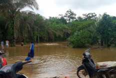 Banjir Landa 5 Kecamatan di Musi Banyuasin, Ratusan Rumah Terendam, Warga pun Dievakuasi. Ini Penyebabnya