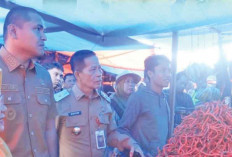  Harga Cabai merah Keriting melonjak 