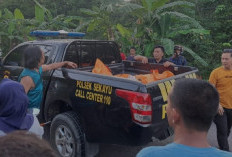 Mengejutkan! Jasad Berubah Tulang Ditemukan di Hutan Sekayu, Musi Banyuasin