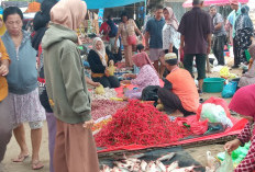 Deflasi Tipis Sumsel April 2026: Penurunan Harga Pangan Tekan Dampak Kenaikan BBM Non-Subsidi