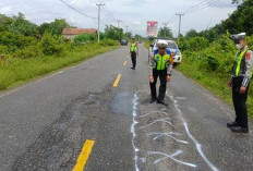 Kecelakaan Tunggal, Satu Tewas dan Enam Lainnya Terluka di Muratara