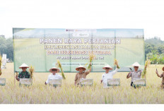 Pemkab Muara Enim Dukung Pemanfaatan Kalium Humat Dongkrak Produktivitas Pertanian