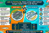 Lele vs Kembung, Mana yang Lebih Sehat? Jangan Salah Pilih Lauk Harian