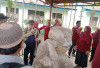 Guru IPS Lahat Perdana Gelar Pembelajaran Lapangan di Situs Megalitik Batu Puteri