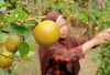 Dipercaya Bisa Atasi Batuk dan Flu