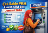 Cek Saldo PKH Lewat ATM BRI Januari 2026, Mudah, Aman, Gratis, dan Tanpa Potongan