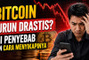 Bitcoin Anjlok Tajam, Ini Penyebab Utama, Dampak bagi Investor, dan Strategi Tepat Menghadapi Volatilitas Krip
