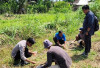 Pilih Tanah Gempur, Sinar Matahari Penuh