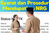 Syarat dan Prosedur Mendapatkan NRG Bagi Peserta Piloting 1 PPG Guru Tertentu