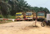 Gangguan Aktivitas Perkebunan Kelapa Sawit di PT Berkat Sawit Sejati 