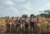 Panen di Lahan 1 Ha, Hasilkan 6 ton Jagung