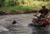Eksplorasi Alam Pagaralam dengan ATV: Sungai, Tanjakan, dan Kebun Teh, Seru Abis Gaes!