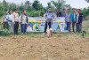 Gotong Royong Tanam Jagung 1,5 Hektare
