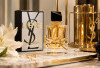Aroma Berkelas, Parfum YSL Jadi Favorit Pecinta Fragrance Premium