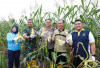 Panen Jagung Jelang Tahun Baru, Pemkot Prabumulih Dorong Ketahanan Pangan Lokal