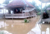 Sungai Sake Meluap, Banjir Rendam Puluhan Rumah Warga di Desa Kertajaya, Muba