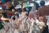 Harga Ayam Tak Kunjung Turun Akibat MBG, Disdag Palembang Gandeng Bank Indonesia, Ini yang Dilakukan 
