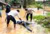 Diduga Kabur dari RSJ, Jasad Warga Muratara Hanyut di Sungai OKI