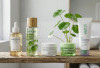 Skin Barrier Rusak Parah? 5 Skincare Centella Asiatica Ini Siap Jadi Juru Selamat Kulitmu!