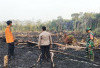 Sebagian Sumsel Kategori Sangat Mudah Terbakar, hingga Medio Juli Tercatat 2.342 Hotspot dan 321 Kali Karhutla