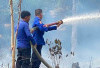 Kebakaran Lahan Seluas 3 Hektare di Empat Lawang Nyaris Capai Permukiman, Api Berhasil Dipadamkan