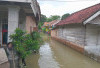 Banjir di OKU Timur Belum Usai, Bergeser ke Semendawai Suku III: Ribuan Rumah Terendam, Akses Jalan Tak Bisa D