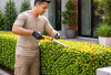 Tren Landscaping Rumah Kecil 2026: Pagar Hidup Modern Jadi Solusi Estetik dan Fungsional