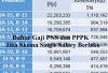 Berikut Daftar Gaji PNS dan PPPK, Jika Skema Gaji Tunggal (Single Salary) Mulai Berlaku