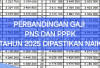 Perbandingan Gaji PNS dan PPPK, Tahun 2025 Dipastikan Naik