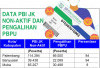 Tak Lagi Ditanggung Pemerintah, Puluhan Ribu PBI JK BPJS Palembang Bayar Iuran Sendiri, Ini Penyebabnya