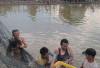  Rawa Jadi Sumber Penghidupan, Rutin Panen Ikan Patin