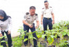 Sulap Lahan Kosong Jadi Kebun Melon-Terong, Dukung Ketahanan Pangan di Rutan Baturaja