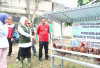Bantuan Ayam Petelur Untuk Warga Miskin Ekstrem, Dukung Program GSMP