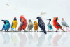 Bikin Melongo! Inilah 10 Koleksi Burung dan Unggas Termahal di Dunia, Ada yang Seharga Mobil Mewah