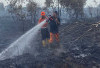 Api Bakar Gambut Sedalam 1 Meter di Muara Enim, Tinggal Asap Karhutla