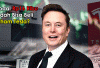 Modal Rp16 Ribu Sudah Bisa Beli Saham Tesla? Bedah Gotrade Indonesia yang Lagi Ramai Diburu Investor