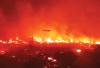 Lahan Gambut  Muba Mulai Terbakar, 30 Hektare Membara, Belum Berhasil Dipadamkam