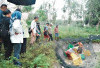 Ajak Masyarakat Budidaya Ikan, Manfaatkan Lahan Pekarangan