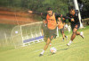Sumsel United Target Kembali Peringkat 3, Waspadai Agresivitas  Serigala Margonda