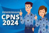 Cara Mendaftar Akun CPNS 2024: Panduan Lengkap