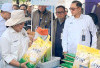 Pastikan Stok Beras OKU Raya Aman, Bulog Gelar OPM