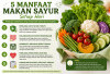 5 Manfaat Makan Sayur Setiap Hari untuk Kesehatan Tubuh