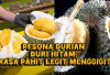 Durian Ochee, Varietas Durian Mewah yang Populer di Indonesia dan Malaysia, Apa Sih Istimewanya?