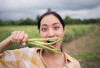 10 Makanan Super Mengandung Tinggi Estrogen yang Baik Untuk Wanita yang Telah Alami Menopause