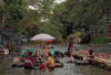 Mengintip Destinasi Wisata Alam di Sungai Kasie Lubuklinggau, Cocok Buat Ajak Keluarga Liburan, Yuk Ngelong! 